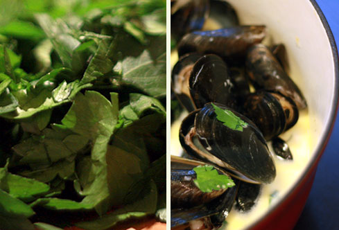 Post image for Cheap Thrills and Mussels
