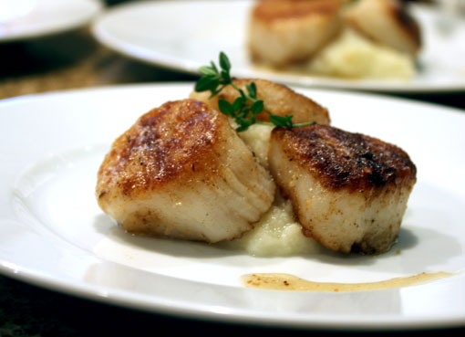 seared scallop